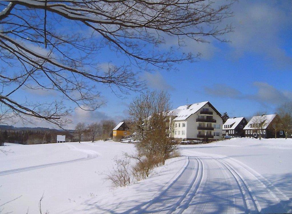 Hexe IV Apartment Hohegeiss Bagian luar foto